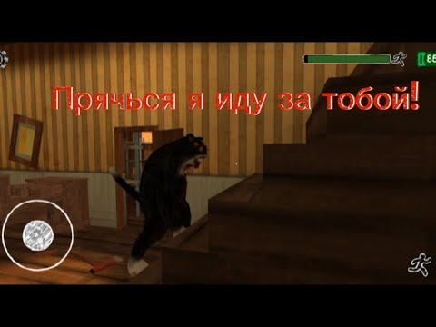 Видео: Играю в cat freed Evil pet продолжение.