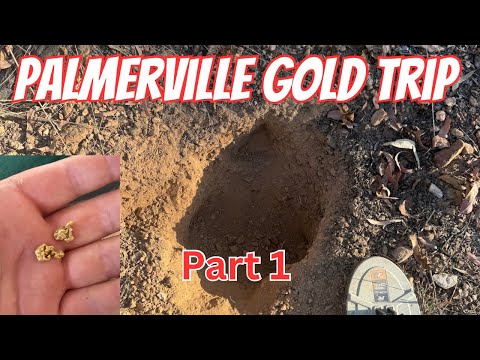 Видео: Palmerville Gold часть 1