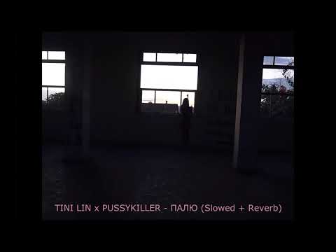 Видео: PUSSYKILLER & TINI LIN — ПАЛЮ (Slowed + Reverb)