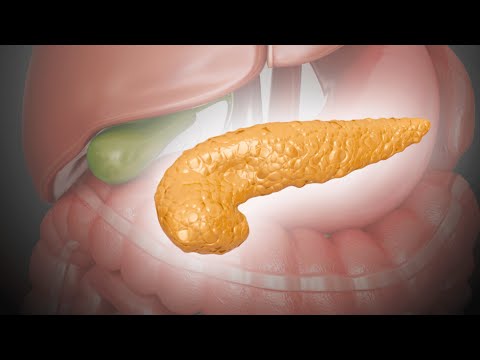 Видео: Онлайн-конференция гастроэнтерологов