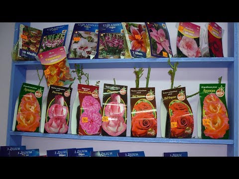 Видео: Без этих препаратов не обойтись  Как сохранить саженцы из магазина