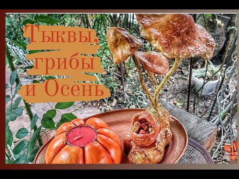 Видео: Тыквы, грибы и Осень.