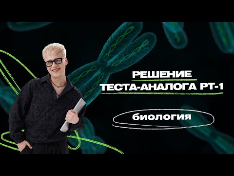 Видео: РЕШЕНИЕ ТЕСТА-АНАЛОГА РТ-1 | Биология ЦТ, ЦЭ