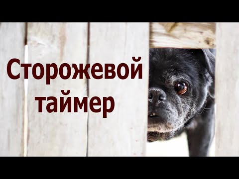 Видео: AVR 32# Сторожевой таймер - WatchDog.