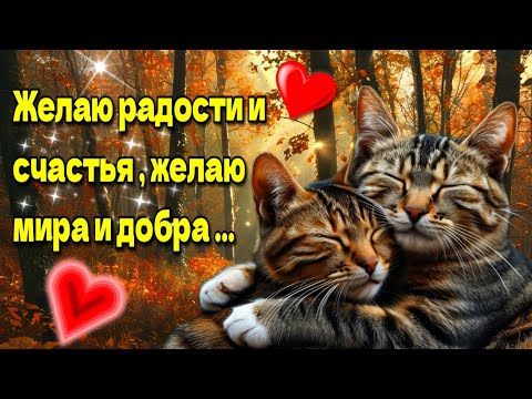 Видео: 🍁🌞☕Самого доброго осеннего  утра!🍁Благословенного дня!🌞Красивая музыкальная открытка 🍁