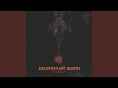 Видео: Одинокий волк