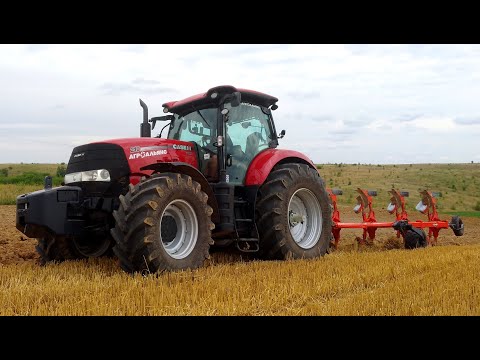 Видео: Вспашка в засуху CASE IH Puma 210 KUHN Multi-Master 2021