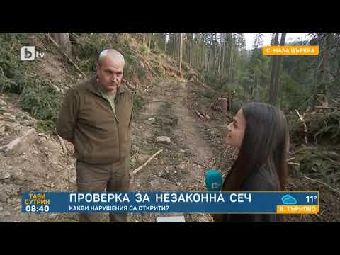 Видео: Тази сутрин: Проверка на bTV: Сигнал за незаконна сеч в района на Самоков