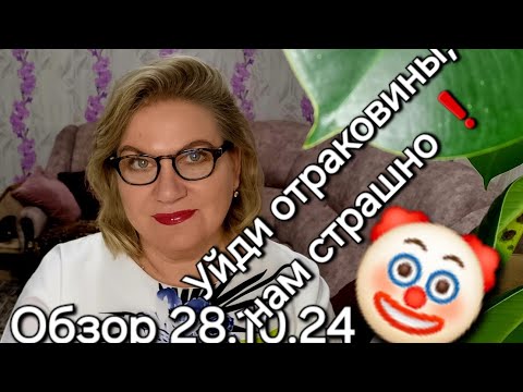 Видео: Обзор. Не мешайте ей сходить с ума ❗️