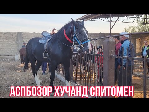 Видео: Аспбозор Хучанд октября 2023 г.