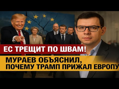 Видео: ЕС трещит по швам! Мураев объяснил, почему Трамп прижал Европу! #Мураев