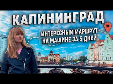 Видео: Калининград! Простой и интересный маршрут по городу и области на 5 дней.