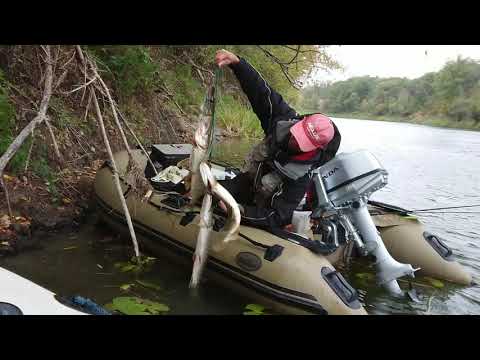 Видео: река Хопер, Сентябрь 2018 г.