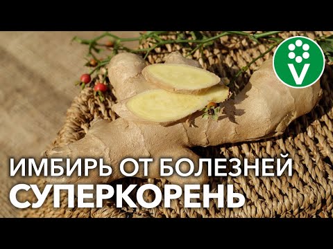 Видео: ПЕРЕСТАНЬТЕ ПОКУПАТЬ ИМБИРЬ! ВОТ КАК ВЫРАСТИТЬ ЕГО ДОМА И НА ОГОРОДЕ! Нарастёт столько, хватит всем