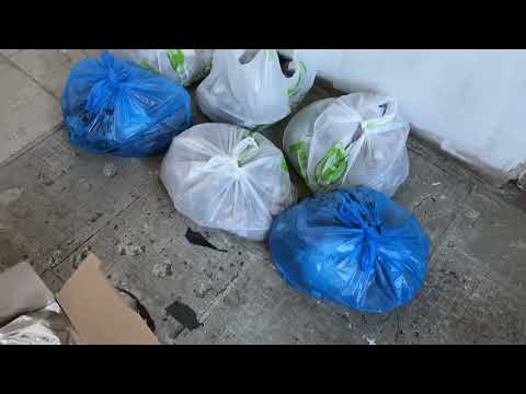 Видео: Отправка луковиц!!!!