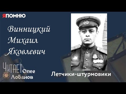 Видео: Винницкий Михаил Яковлевич. Проект "Я помню" Артема Драбкина. Летчики -штурмовики