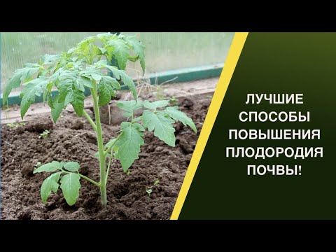 Видео: КАК ВОССТАНОВИТЬ ПЛОДОРОДИЕ ПОЧВЫ!