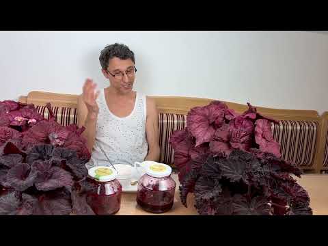 Видео: Самое вкусное варенье!     #варенье