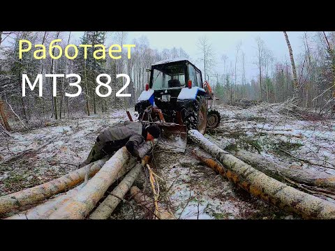 Видео: МТЗ 82 с погрузчиком Frontlift 1200 работает в ЛЕСУ!