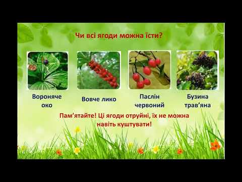 Видео: Екскурсія. Природа влітку