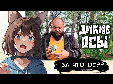 Видео: КИЛЯ СМОТРИТ: ЕДА ДЛЯ ВЫЖИВАНИЯ В ПРИРОДНЫХ УСЛОВИЯХ - ДИКИЕ ОСЫ ► [VTuber] реакция kindlynx