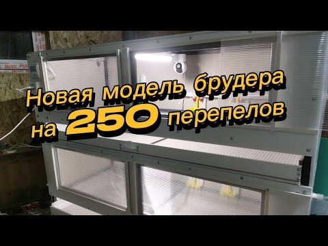 Видео: Новая модель брудера на 250 перепелов с вайфай управлением.