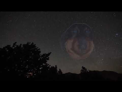 Видео: DAWG И POOT БОЛТАЮТ О ЖИЗНИ И ТЯНОЧКАХ
