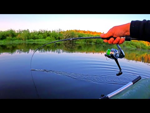 Видео: РЫБА ОБЕЗУМЕЛА САМА В ЛОДКУ ПРЫГАЕТ!!! Ночевка! Готовка! Отдых!