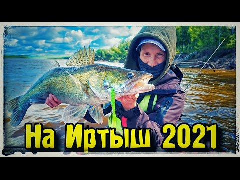 Видео: Иртыш 2021.Трофейный Судак.. Щуки рвут приманки в клочья.  Рыбалка на 3 дня.