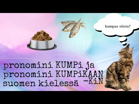 Видео: Местоимения kumpi, kumpikin, kumpikaan