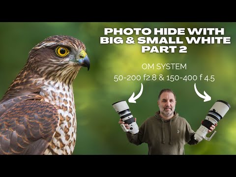 Видео: Скрытая фотография может быть совершенно потрясающей, если вам повезёт. OM System 50-200 F2.8 и 1...