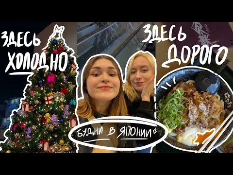 Видео: БУДНИ В ЯПОНИИ: учёба в школе, шоппинг и ужасный холод
