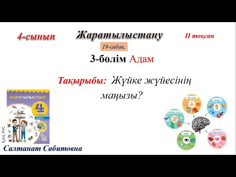 Видео: 4 сынып жаратылыстану 19 сабақ Жүйке жүйесінің маңызы
