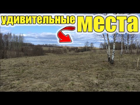 Видео: В старой деревне нашел овраг с удивительно крутыми и старыми находками.Коп старины с металоискателем
