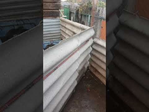 Видео: Вопрос купил самок нутрий которые сидели вместе с самцом,что делать