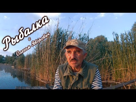 Видео: Ловля карася на удочки.