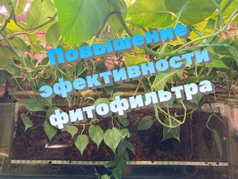 Видео: Доработка фитофильтра  Повышение эфективности фильтра