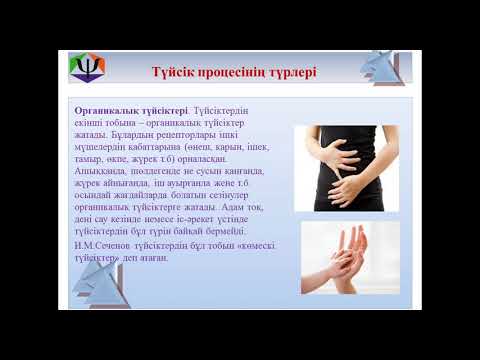 Видео: Арыстанбекова Г. Жеке адамның таным процестері.  Түйсік.