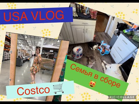 Видео: USA VLOG Закупка в Costco Вся семья в сборе 😻Всем добра 🥰