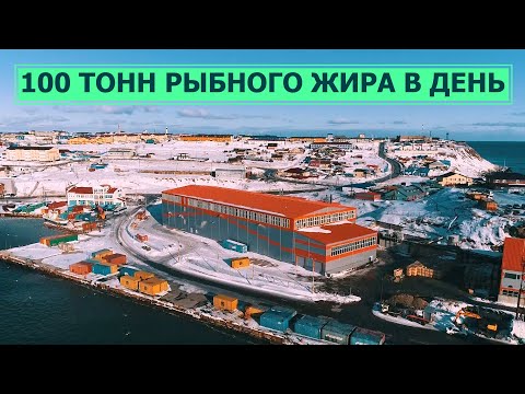 Видео: Остров Кунашир. Южно-Курильский рыбокомбинат. До 100 тонн рыбной муки и жира в день