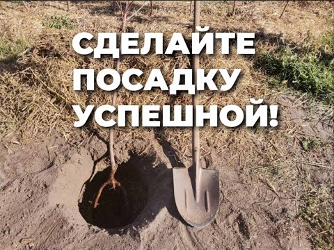 Видео: Перед посадкой не забудьте проверить....