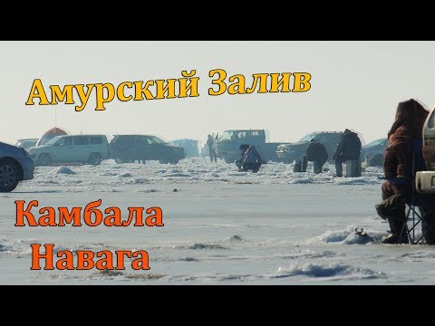 Видео: Рыбалка в Тавричанке Ловля Камбалы и Наваги на Поплавок Зимой