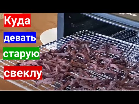 Видео: Не выбрасывайте прошлогоднюю свеклу - сделайте цукаты. Дегидратор для овощей