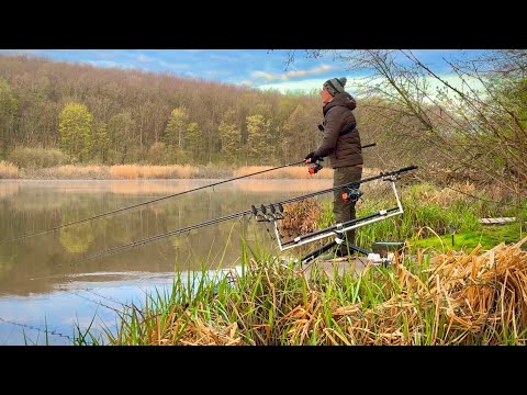 Видео: Ловля коропа на лісному озері. Як ловити крупного коропа серед купи дрібного. Рибалка з ночівлею
