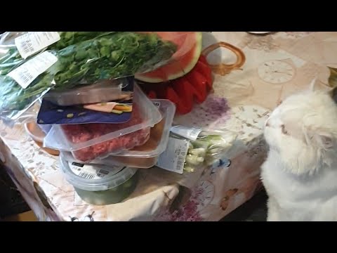 Видео: Ч4.💥За кадром😋🍲Готовлю вместе с вами/🤫Лайфхаки на кухне,с ВкусВил и котом/🐟В какой рыбе Омега 3 !
