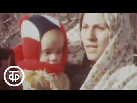 Видео: Иран: крушение монархии (1979)