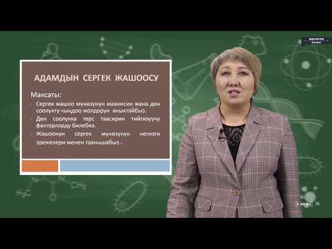 Видео: Биология - 8 класс - Адамдын сергек жашоо мүнөзү