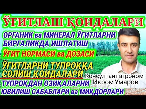 Видео: O‘G‘IT BERISH QOIDALARI. 136-son. УГИТЛАШ НОРМАСИ ва ДОЗАСИ