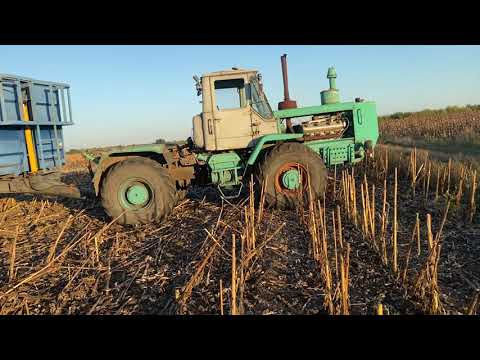 Видео: Більше ми не збирали. Семка порадувала.