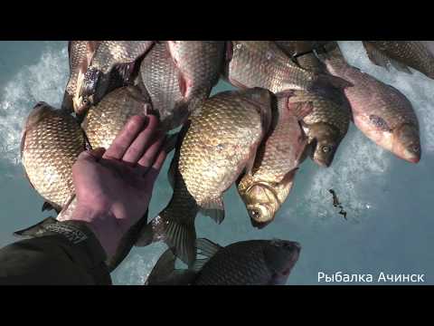 Видео: весенняя ловля  карася со льда.Рыбалка на карася.